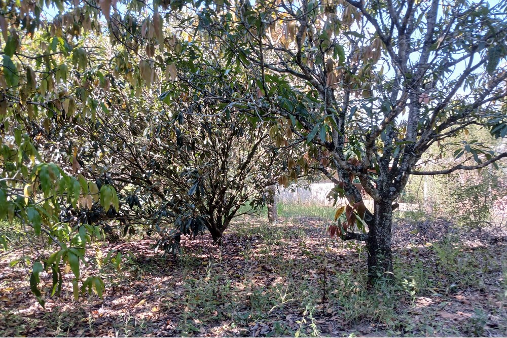 Terreno à venda, 1400m² - Foto 20