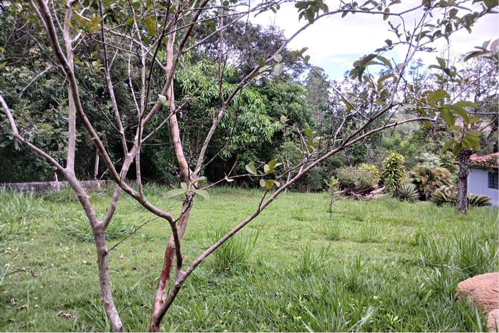 Terreno à venda, 1518m² - Foto 8