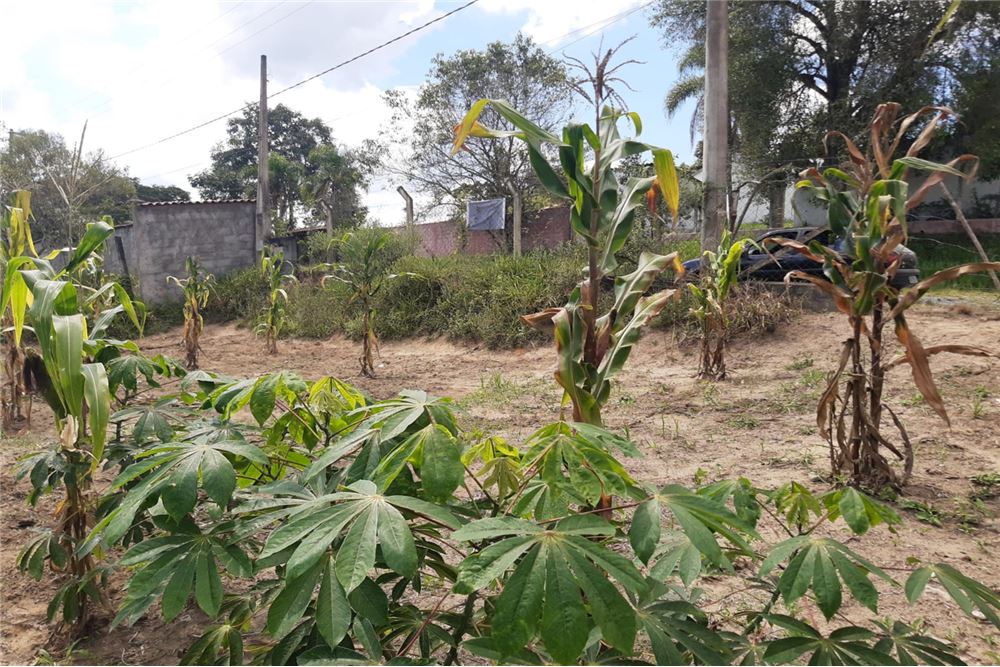 Terreno à venda, 1300m² - Foto 13