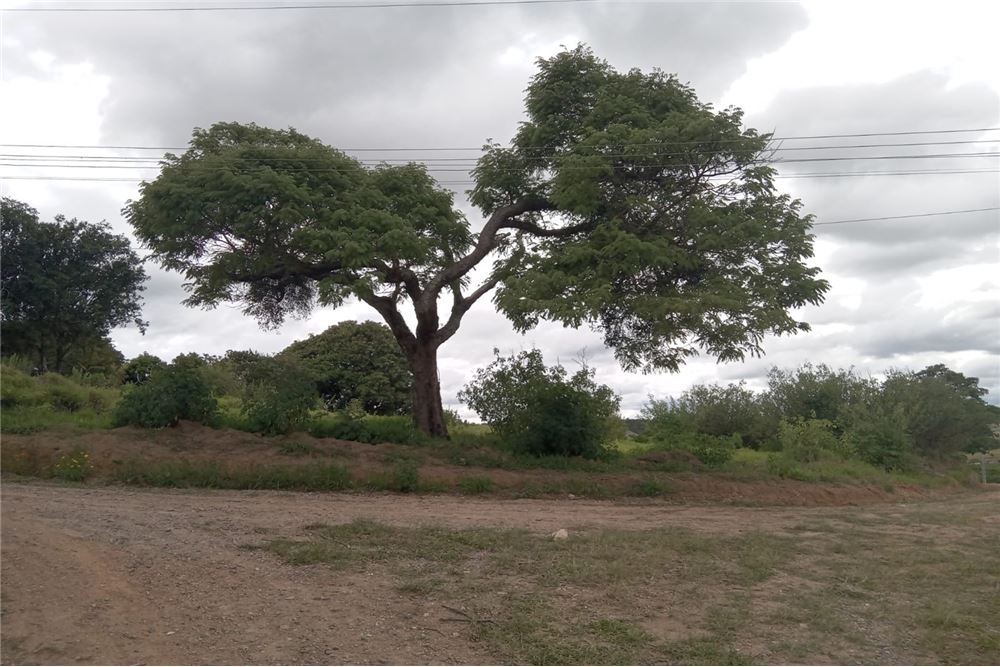 Terreno à venda, 2000m² - Foto 1