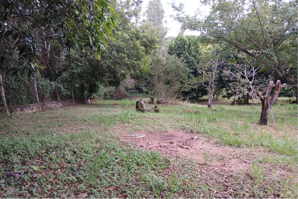 Terreno à venda, 1518m² - Foto 4