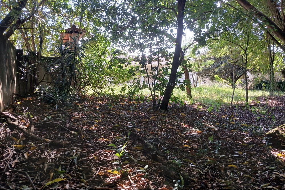 Chácara à venda com 1 quarto, 103m² - Foto 42