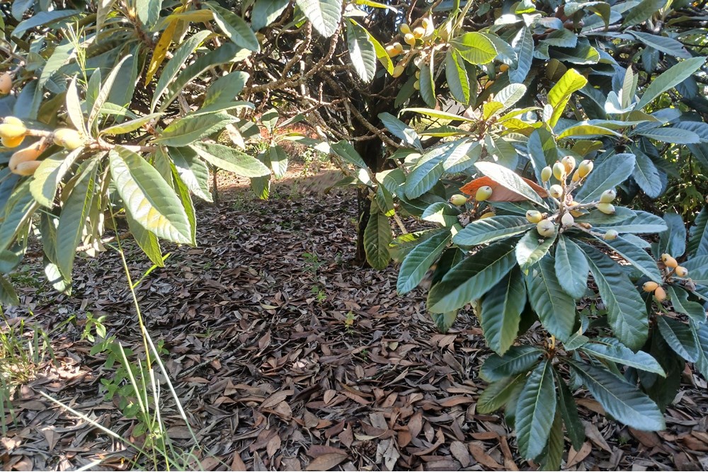 Terreno à venda, 1400m² - Foto 18