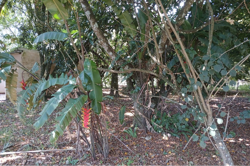 Chácara à venda com 1 quarto, 103m² - Foto 36
