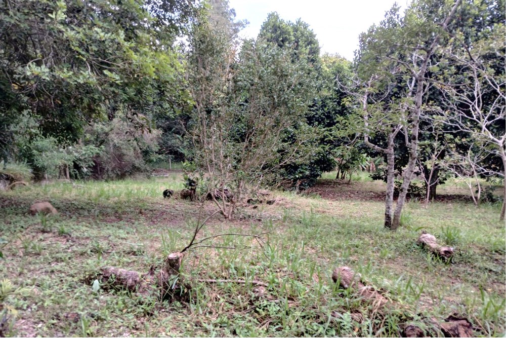 Terreno à venda, 1518m² - Foto 5