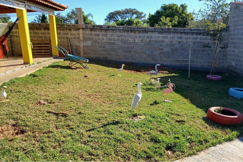 Chácara à venda com 4 quartos, 250m² - Foto 3