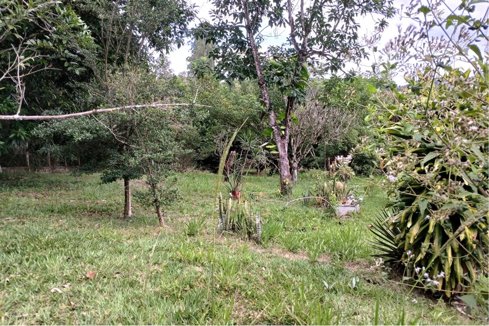 Terreno à venda, 1518m² - Foto 9
