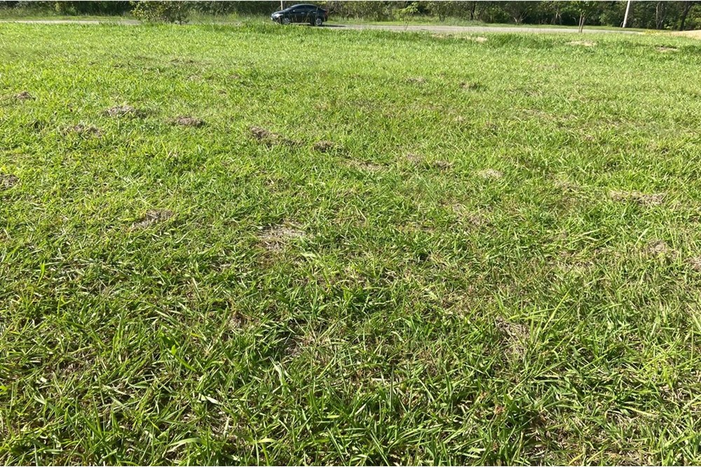 Terreno à venda, 1006m² - Foto 8