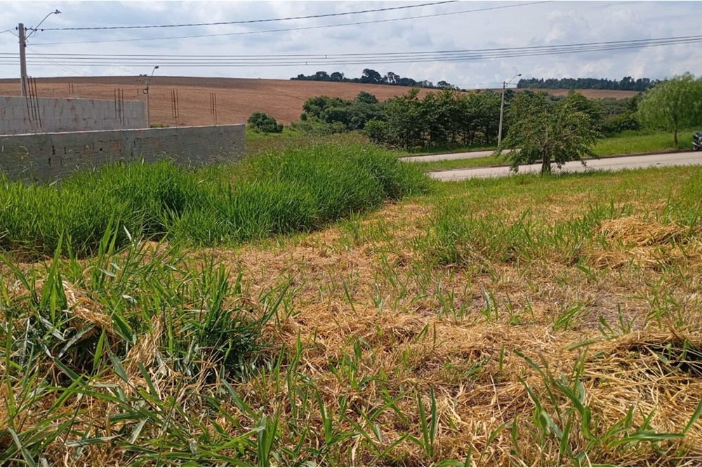 Terreno à venda, 250m² - Foto 12