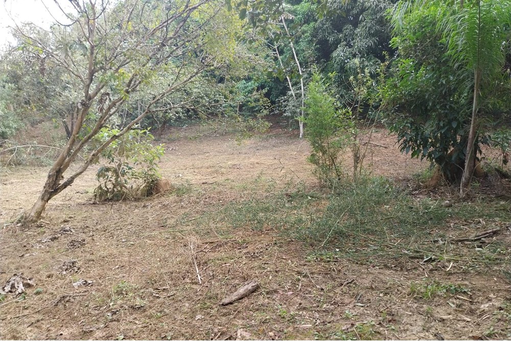 Terreno à venda, 2803m² - Foto 16
