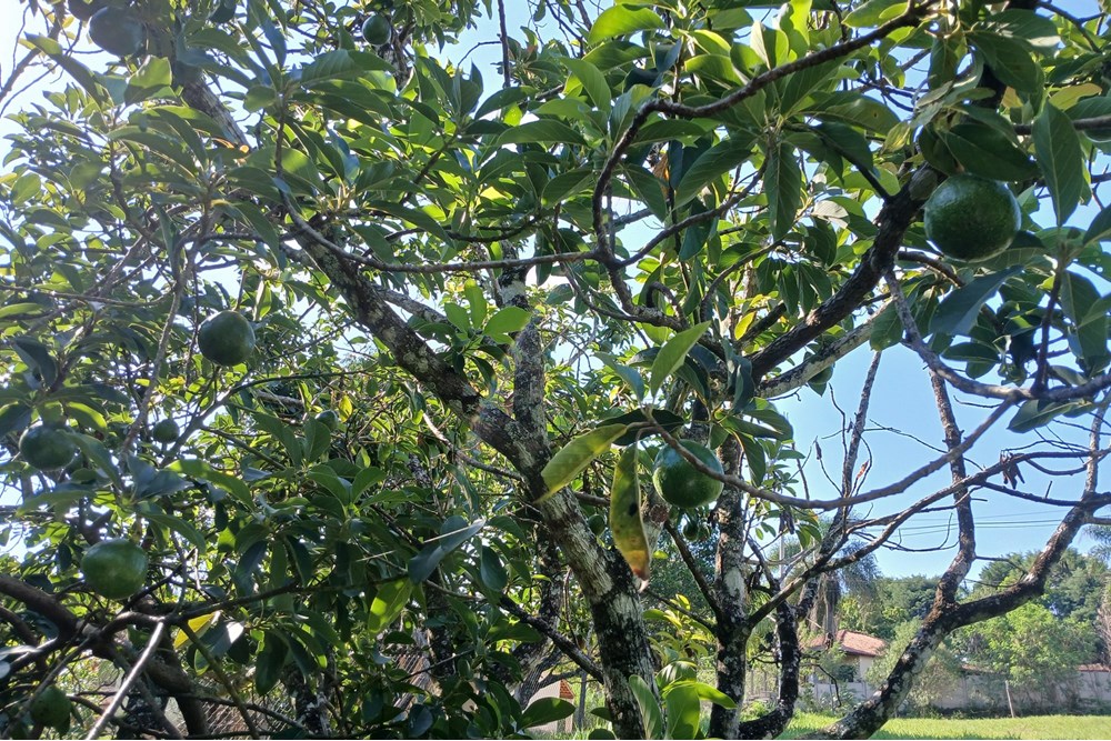 Terreno à venda, 1384m² - Foto 16
