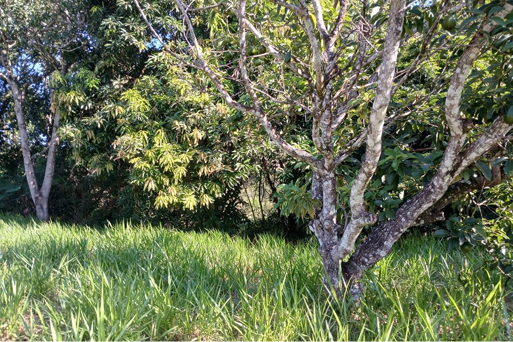 Terreno à venda, 1384m² - Foto 15