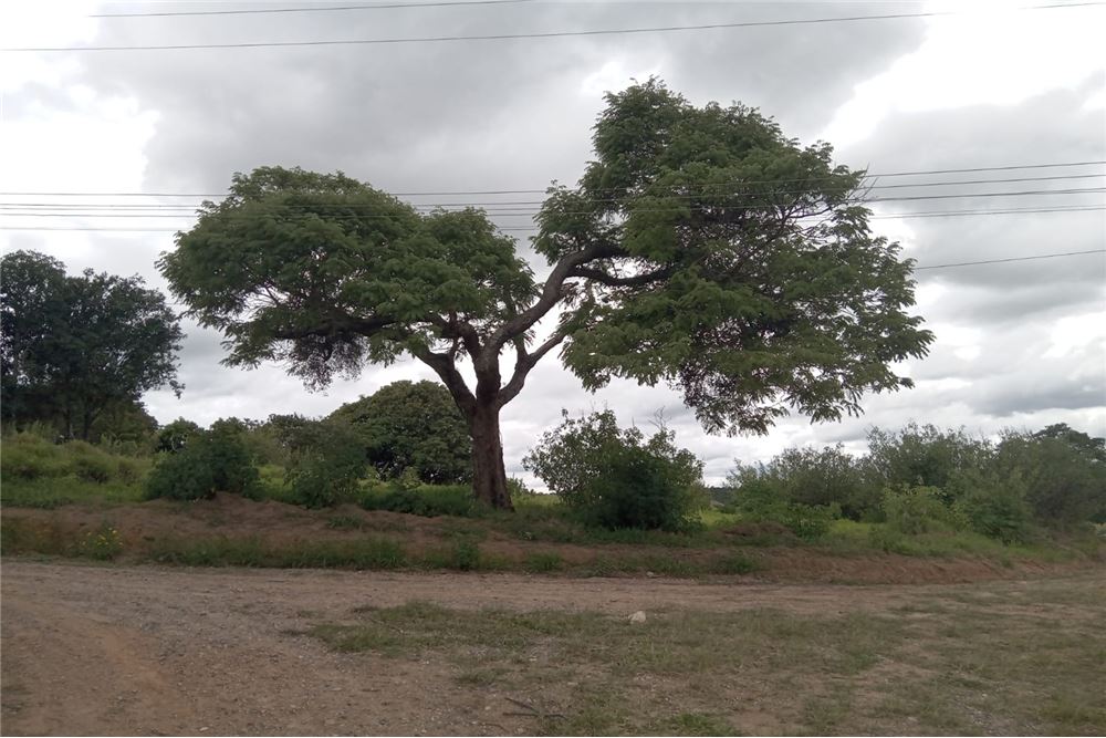 Terreno à venda, 2000m² - Foto 3