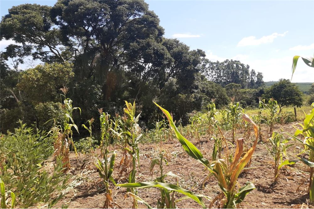 Terreno à venda, 1300m² - Foto 11