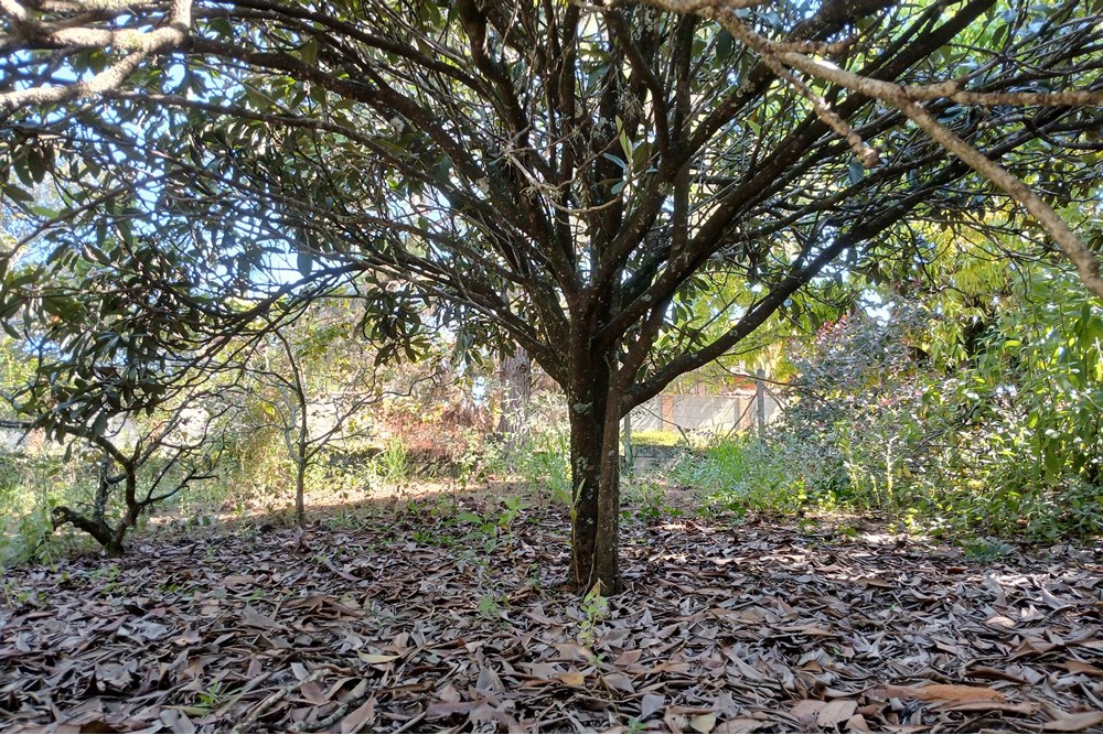 Terreno à venda, 1400m² - Foto 16