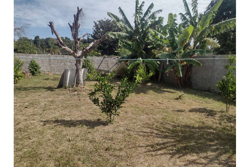 Fazenda à venda com 3 quartos, 70m² - Foto 4