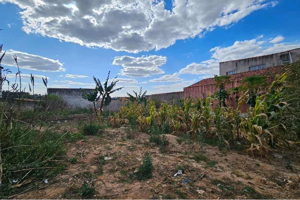 Loteamento e Condomínio para alugar, 343m² - Foto 4