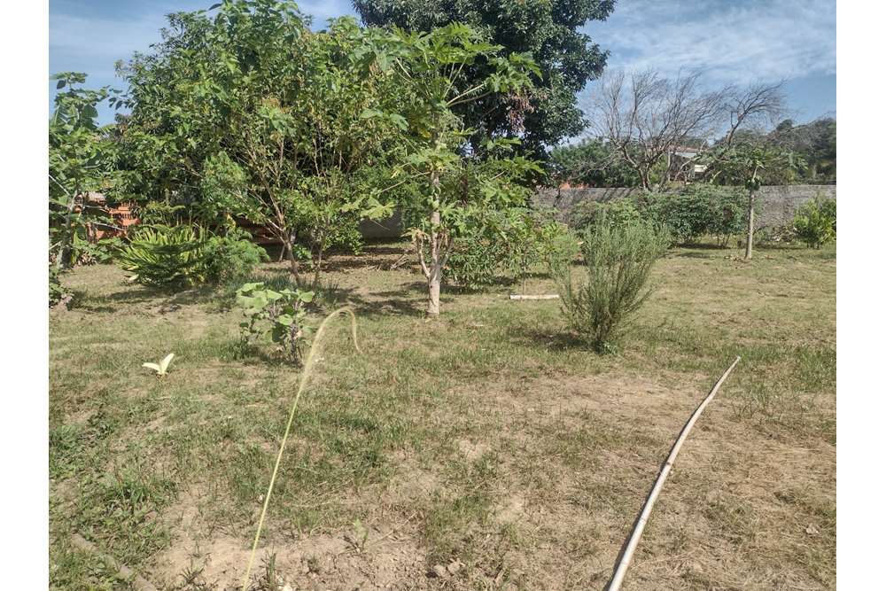 Fazenda à venda com 3 quartos, 70m² - Foto 5