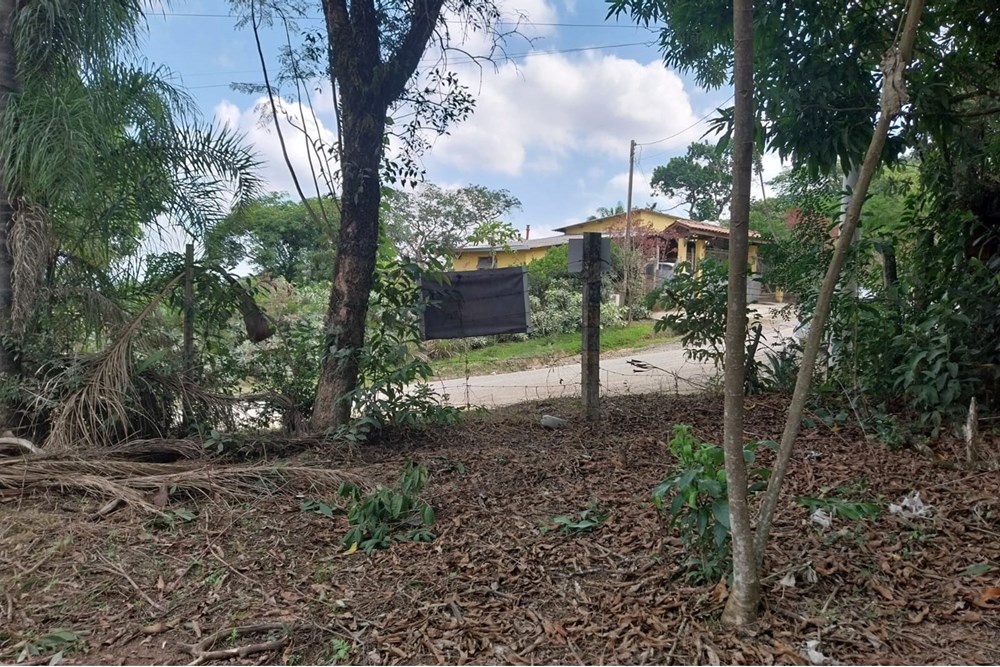 Terreno à venda, 2803m² - Foto 4