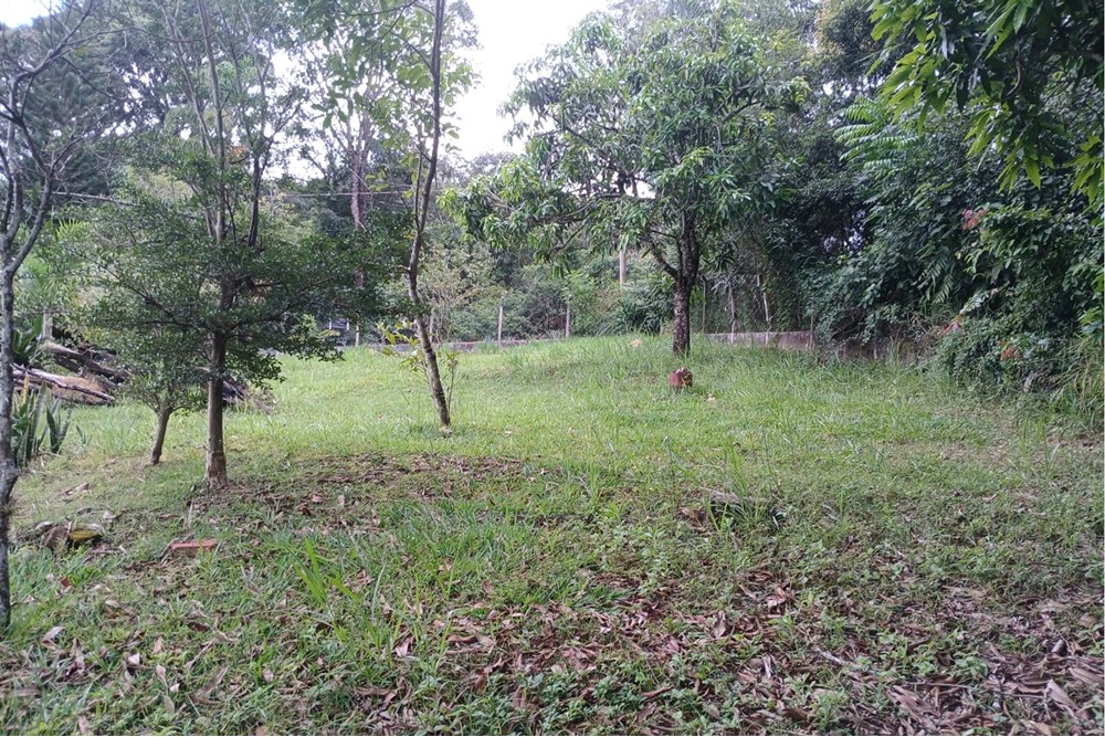 Terreno à venda, 1518m² - Foto 3