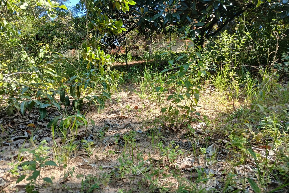 Terreno à venda, 1400m² - Foto 6