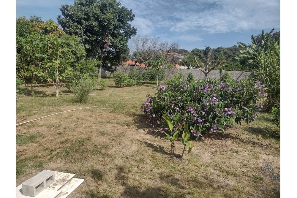 Fazenda à venda com 3 quartos, 70m² - Foto 6