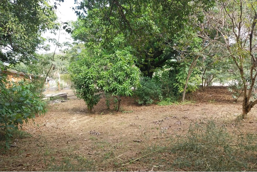 Terreno à venda, 2803m² - Foto 14