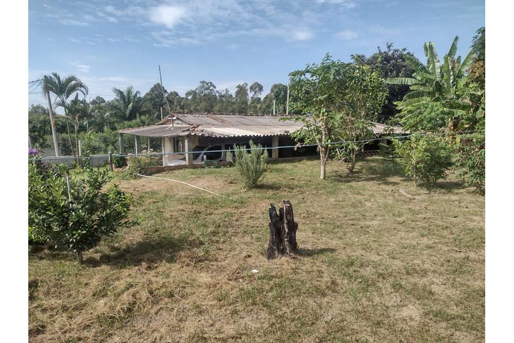 Fazenda à venda com 3 quartos, 70m² - Foto 3