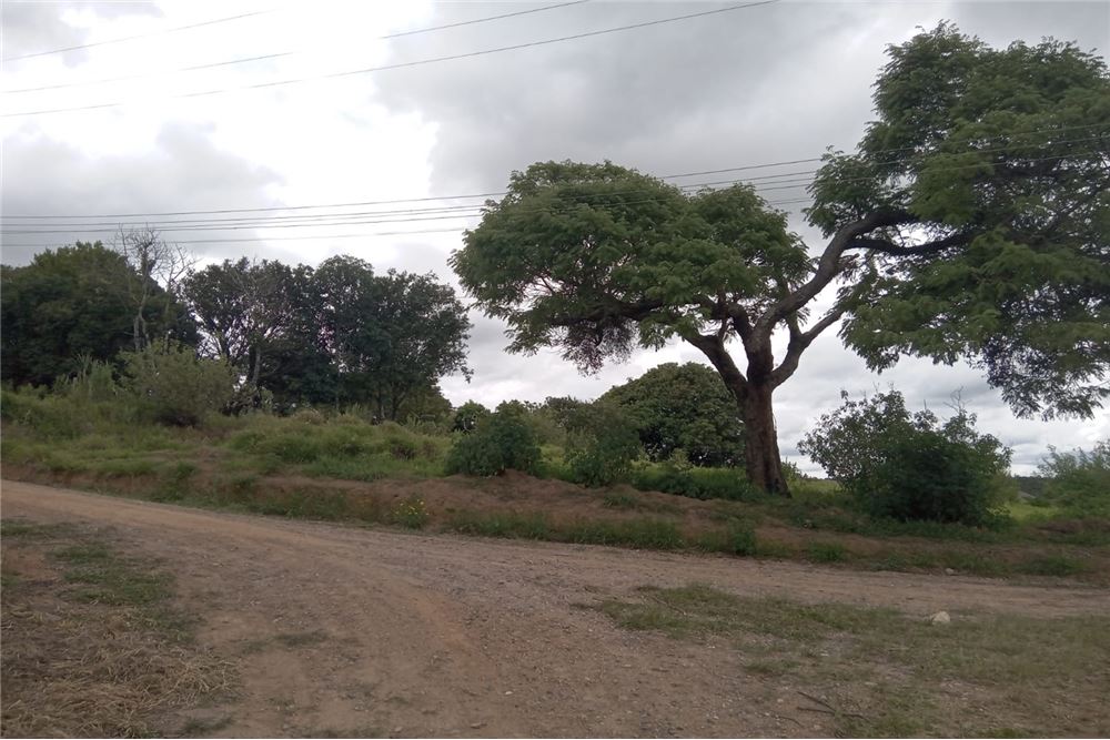 Terreno à venda, 2000m² - Foto 4