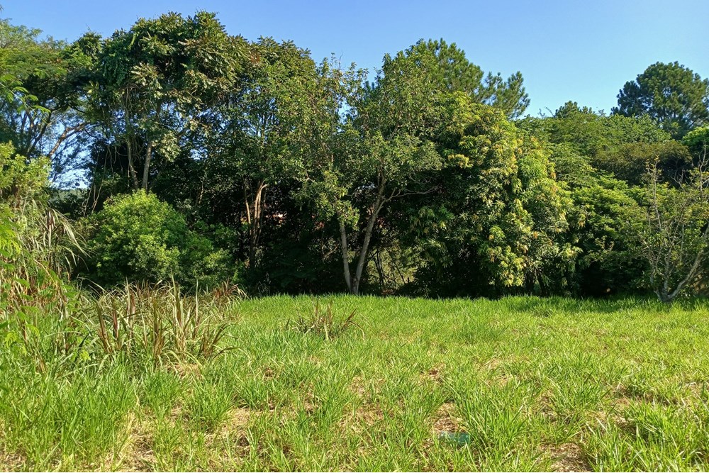 Terreno à venda, 1384m² - Foto 12