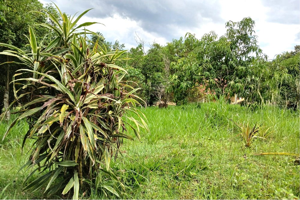 Terreno à venda, 1518m² - Foto 19