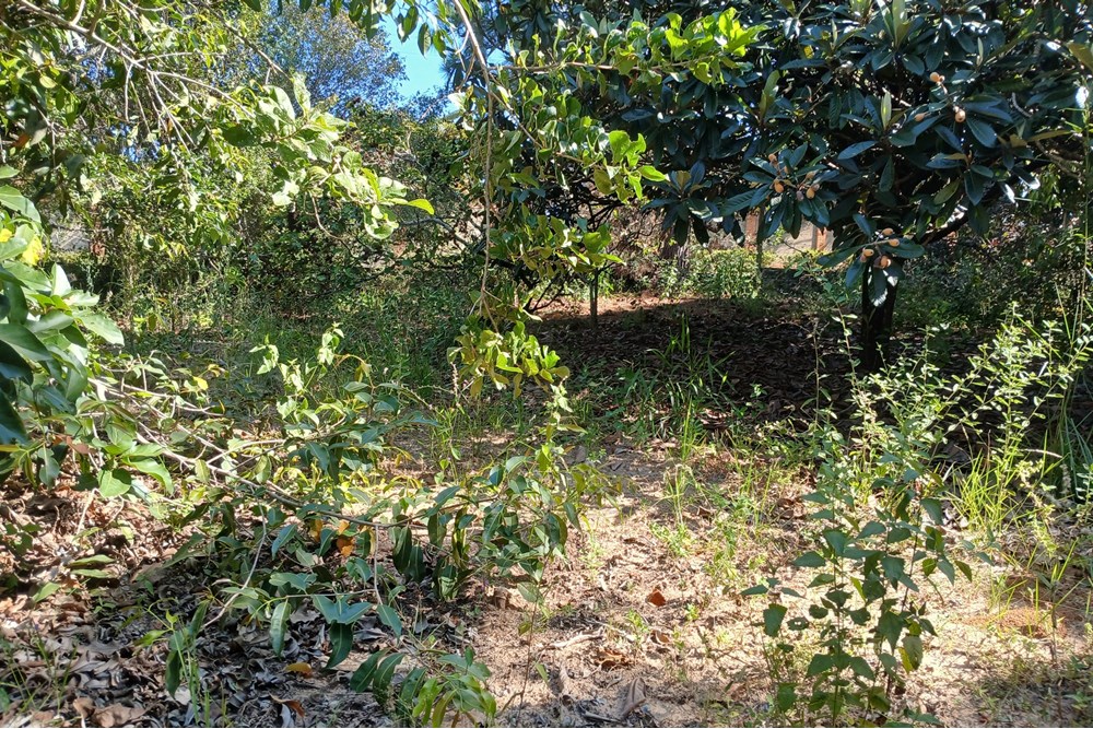 Terreno à venda, 1400m² - Foto 5