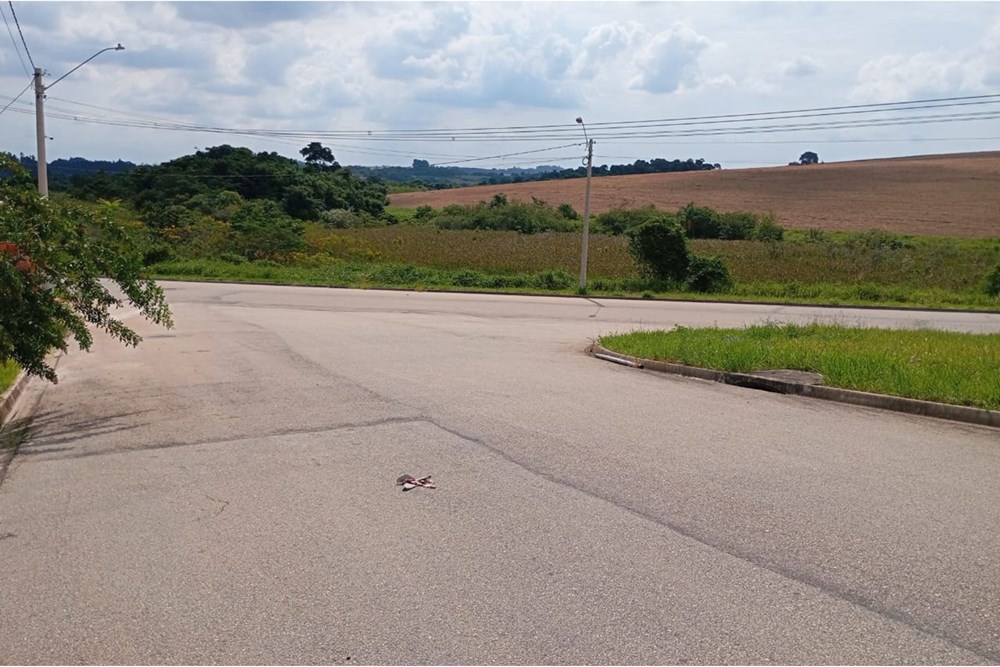 Terreno à venda, 250m² - Foto 2