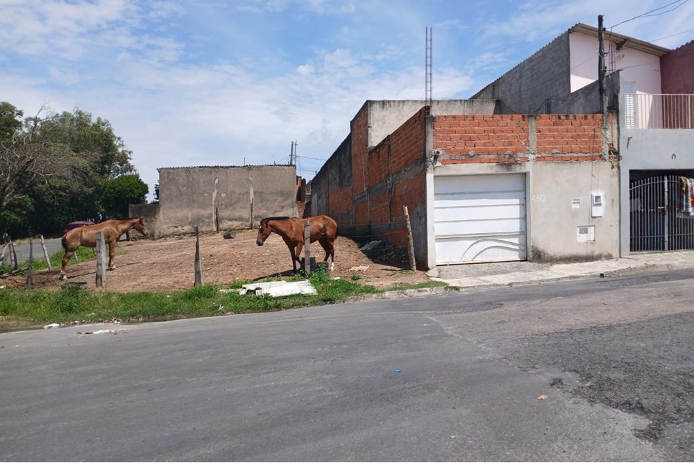 Terreno à venda, 144m² - Foto 12