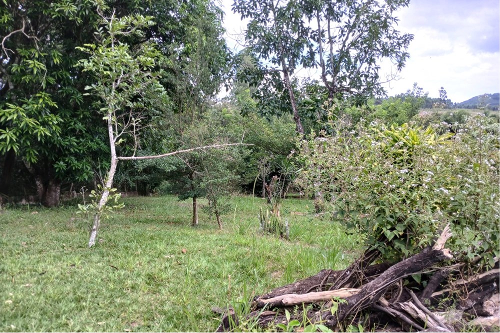 Terreno à venda, 1518m² - Foto 7