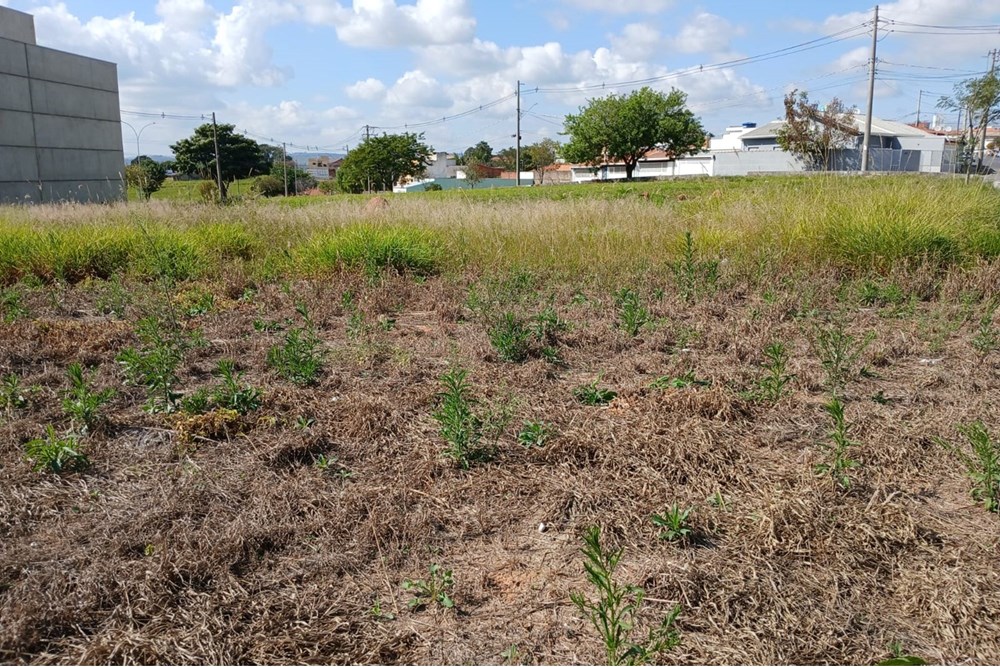 Terreno à venda, 260m² - Foto 12