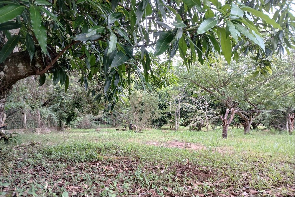 Terreno à venda, 1518m² - Foto 6