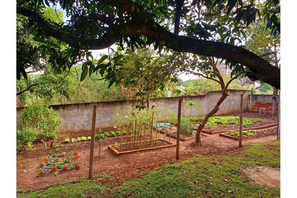 Fazenda à venda com 3 quartos, 1860m² - Foto 41