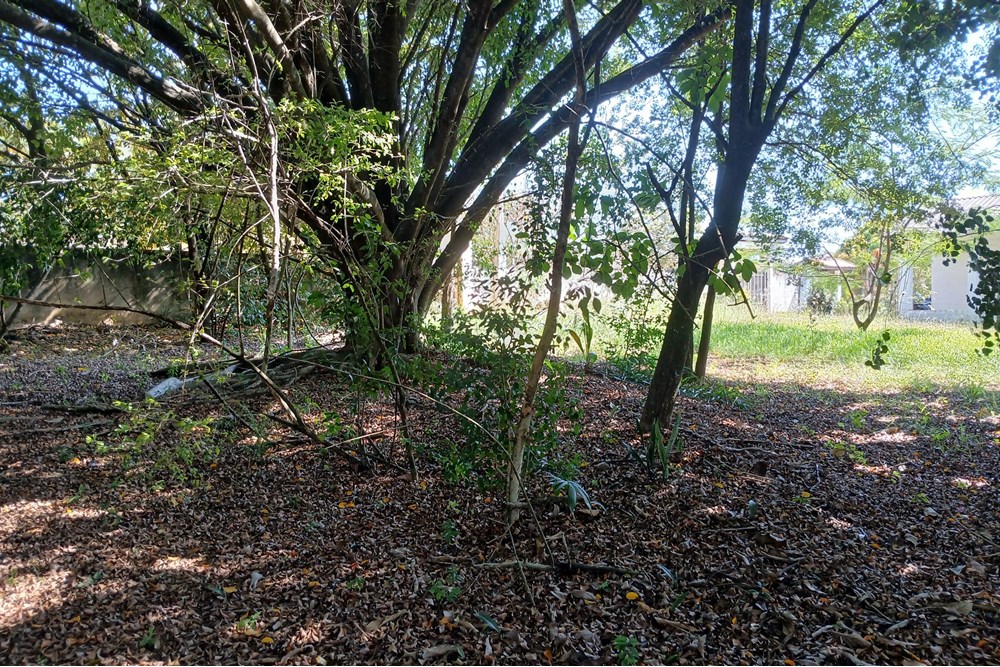Chácara à venda com 1 quarto, 103m² - Foto 40