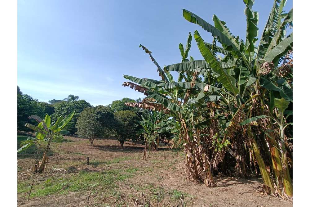 Terreno à venda, 1400m² - Foto 5