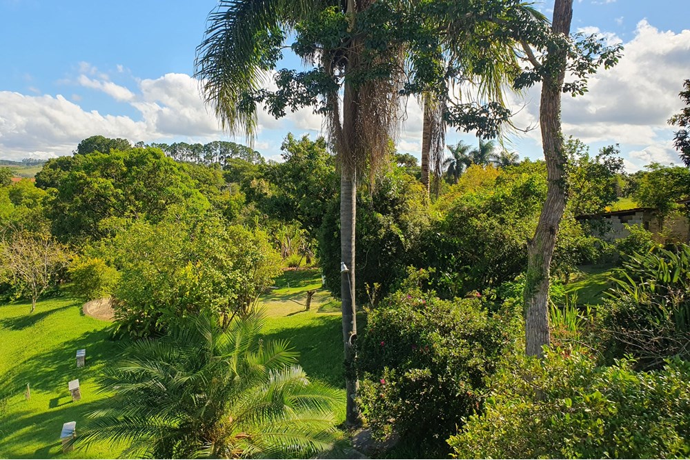 Fazenda à venda com 4 quartos, 273m² - Foto 42