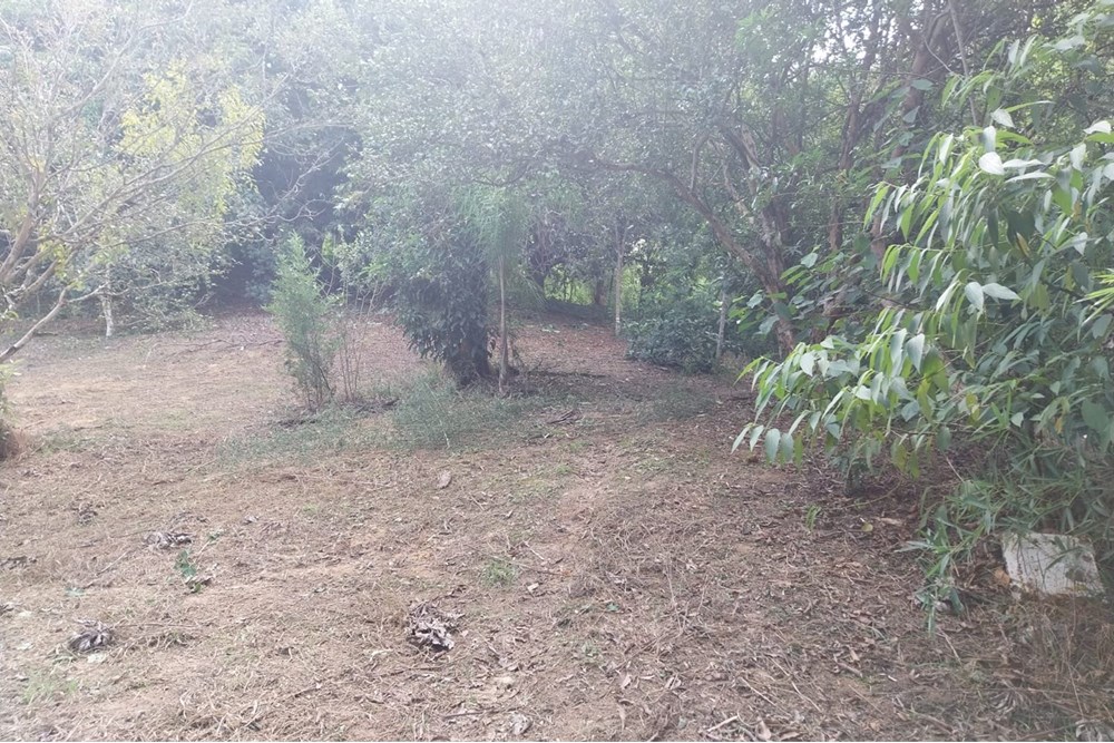 Terreno à venda, 2803m² - Foto 17