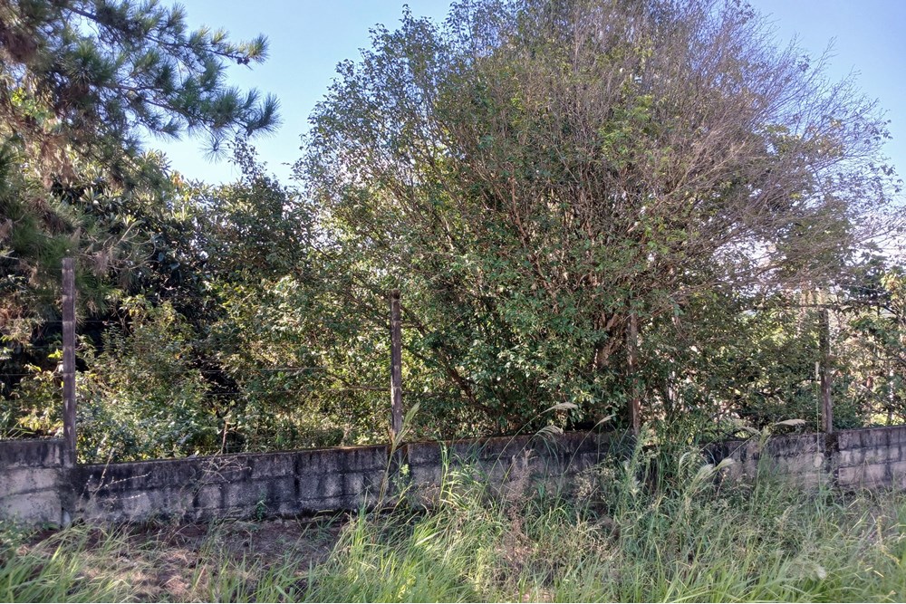 Terreno à venda, 1400m² - Foto 22