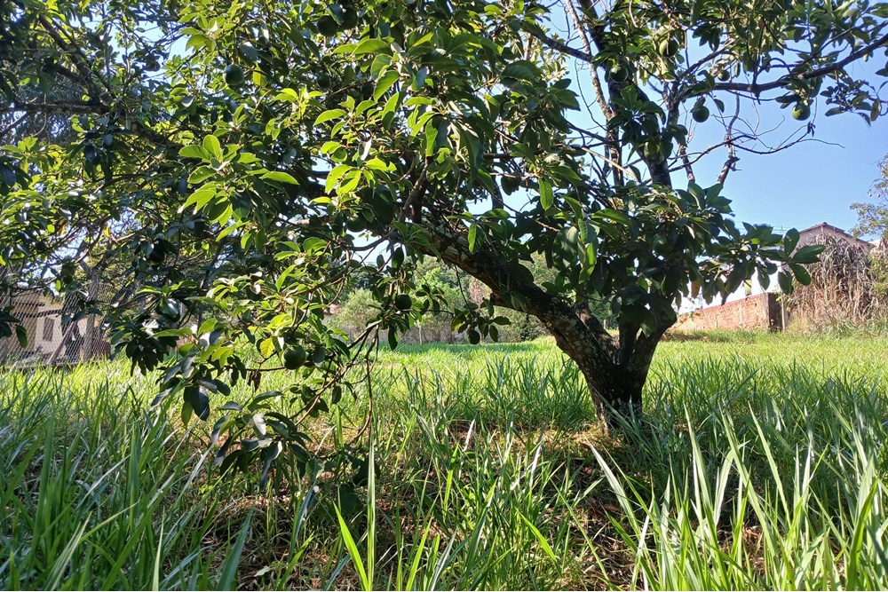 Terreno à venda, 1384m² - Foto 19