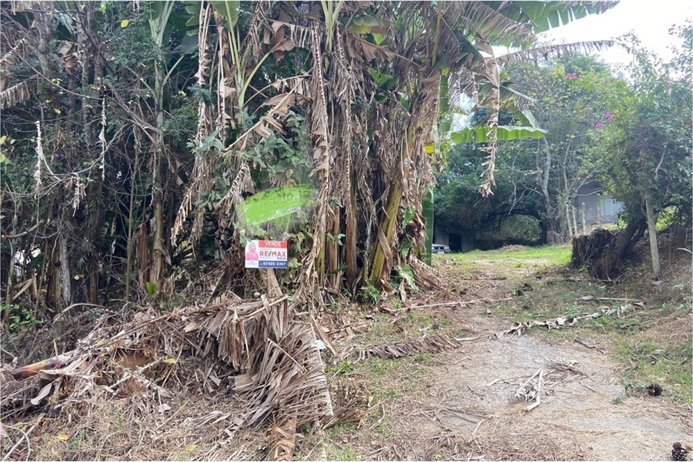 Fazenda à venda com 2 quartos, 2733m² - Foto 11