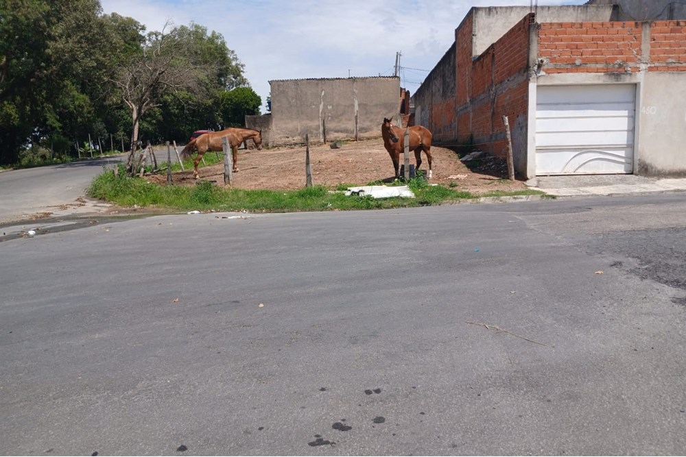 Terreno à venda, 144m² - Foto 11