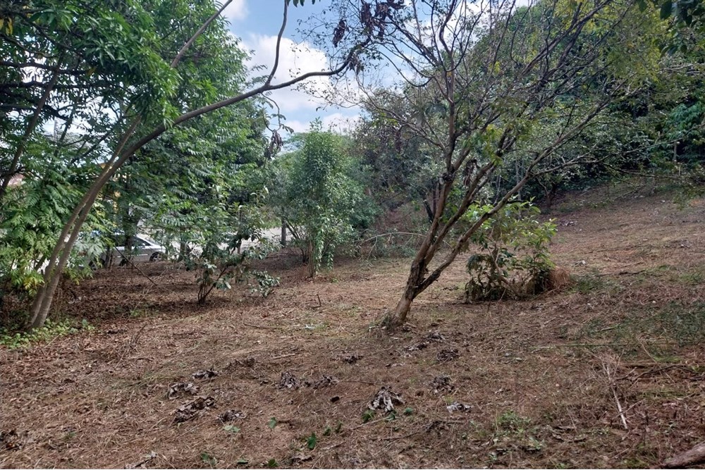 Terreno à venda, 2803m² - Foto 11