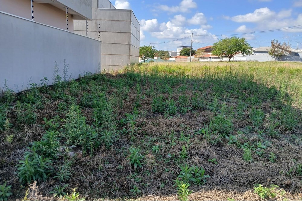 Terreno à venda, 260m² - Foto 10