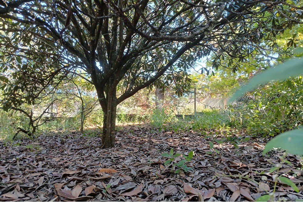 Terreno à venda, 1400m² - Foto 15