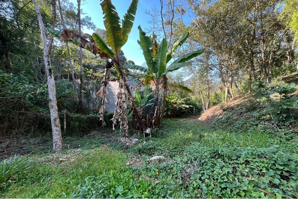 Terreno - Venda - Teresópolis , Rio de Janeiro - WhatsApp Image 2025-09-25 at 16.12.54 (3).jpeg - 630191097-3